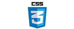 css web designing services agency