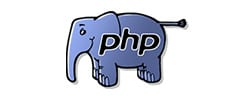 php website development services