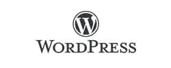 wordpress website development company